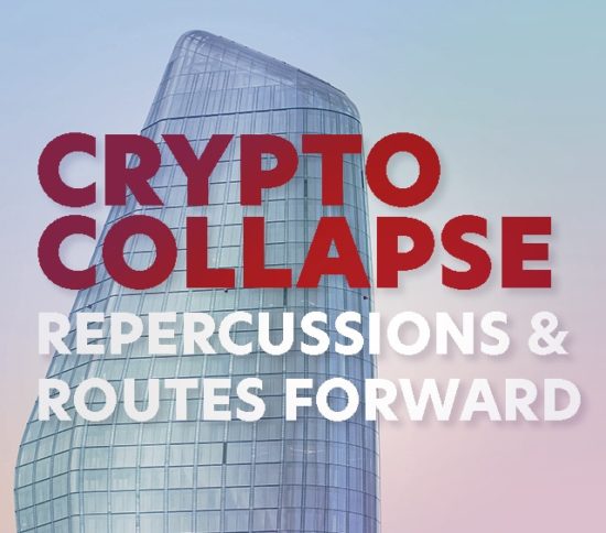 Repercussions and routes forward after the Crypto Collapse